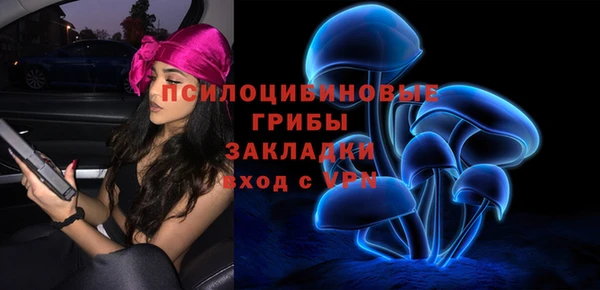 МДПВ Волоколамск