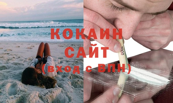 PSILOCYBIN Вязьма